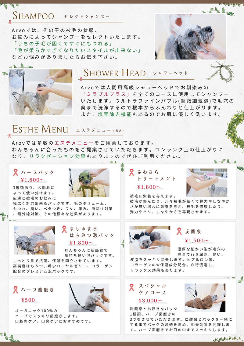 images